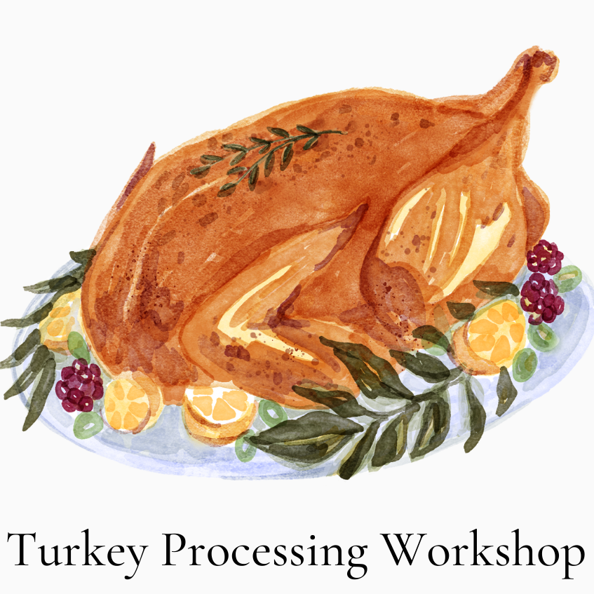 Turkey Processing Workshop 11/23/25